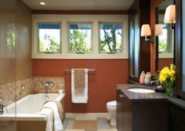 Bathroom with skylight sun tunnel