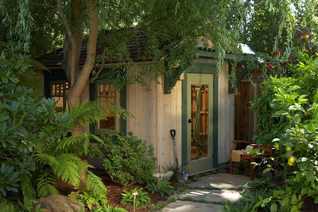 Shed hidden by lush greenery